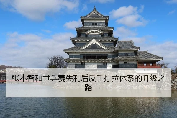 张本智和世乒赛失利后反手拧拉体系的升级之路