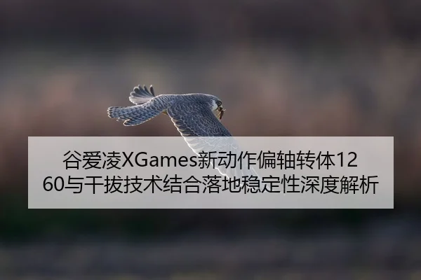 gu-ai-ling-xin-dong-zuo-pian-zhou-zhuan-ti-yu-gan-ba-ji-shu-jie-he-luo-di-wen-ding-xing-shen-du-jie-xi-2-338.jpg