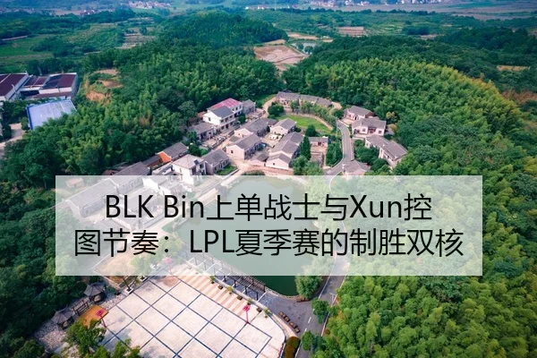 BLK Bin上单战士与Xun控图节奏：LPL夏季赛的制胜双核
