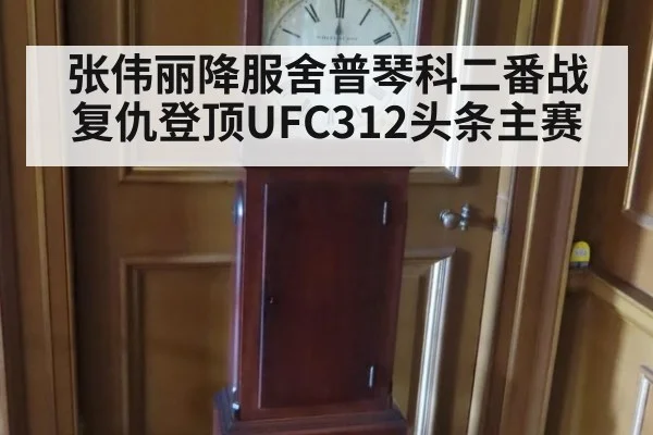 张伟丽降服舍普琴科二番战复仇登顶UFC312头条主赛